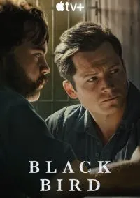 Чёрная птица (сериал, 2022) 1 сезон смотреть онлайн на Лордфильм